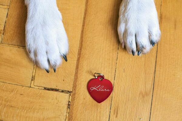 Ersatzmarke beantragen